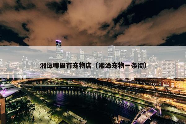 湘潭哪里有宠物店（湘潭宠物一条街）