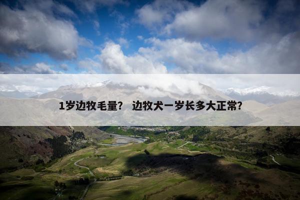 1岁边牧毛量？ 边牧犬一岁长多大正常？