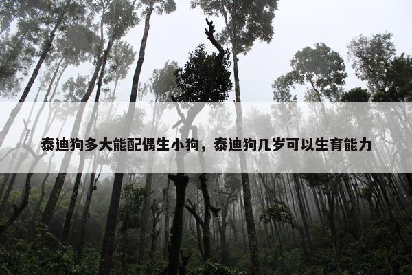泰迪狗多大能配偶生小狗，泰迪狗几岁可以生育能力