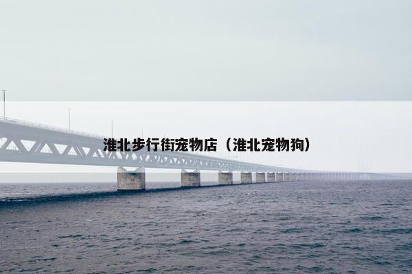 淮北步行街宠物店（淮北宠物狗）