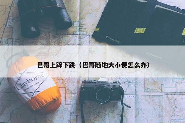 巴哥上蹿下跳（巴哥随地大小便怎么办）