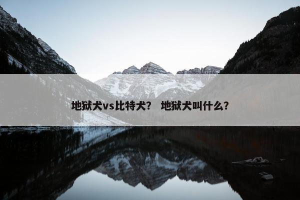 地狱犬vs比特犬？ 地狱犬叫什么？