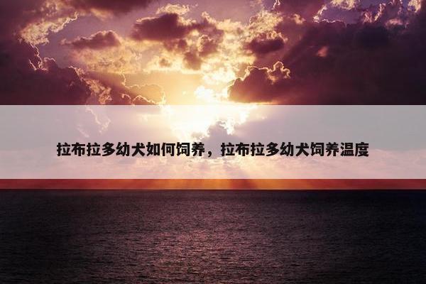 拉布拉多幼犬如何饲养，拉布拉多幼犬饲养温度