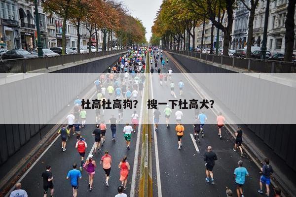 杜高杜高狗？ 搜一下杜高犬？