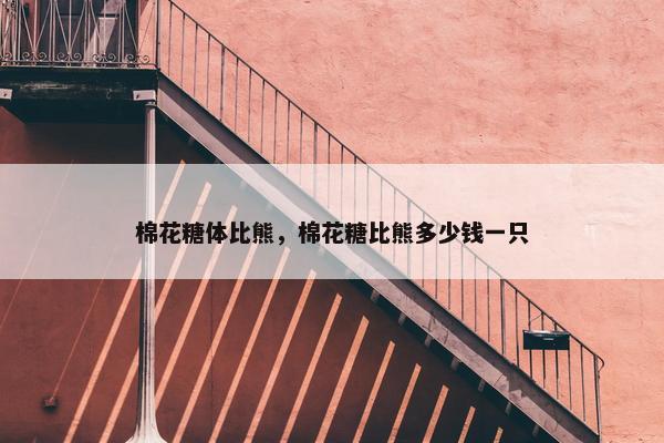 棉花糖体比熊，棉花糖比熊多少钱一只