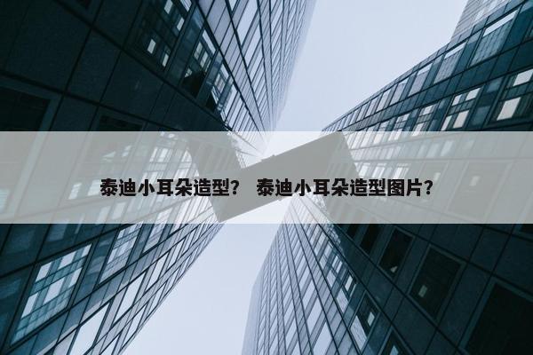 泰迪小耳朵造型？ 泰迪小耳朵造型图片？