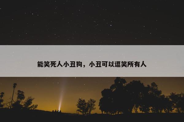 能笑死人小丑狗，小丑可以逗笑所有人