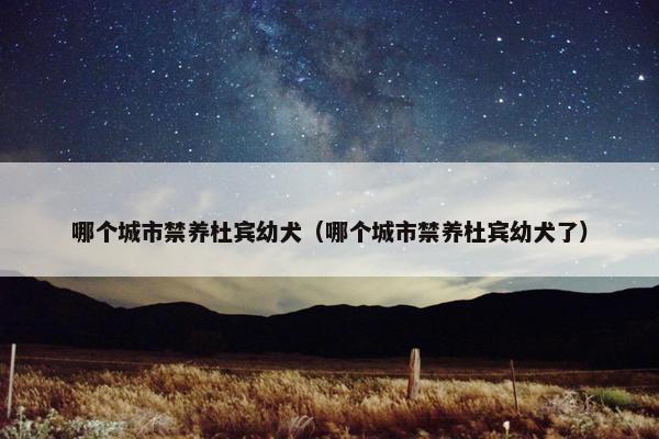 哪个城市禁养杜宾幼犬（哪个城市禁养杜宾幼犬了）