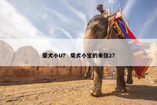 柴犬小U？ 柴犬小宝的来信2？