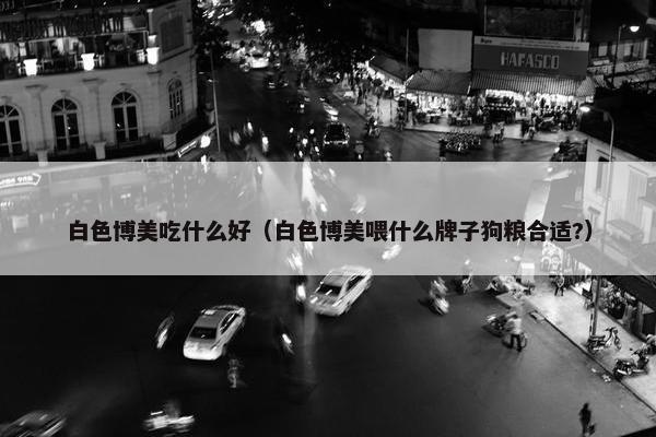 白色博美吃什么好（白色博美喂什么牌子狗粮合适?）