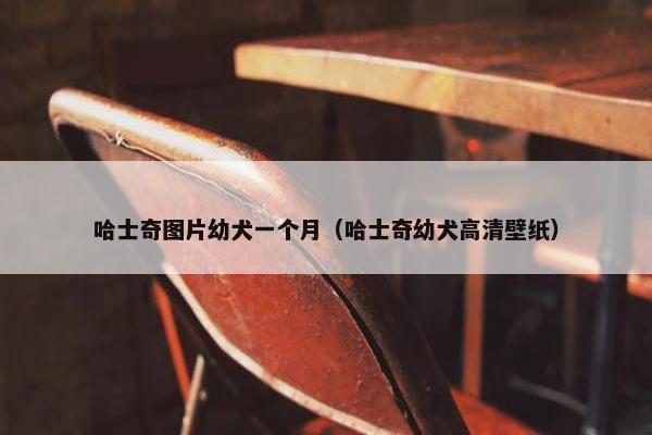 哈士奇图片幼犬一个月（哈士奇幼犬高清壁纸）