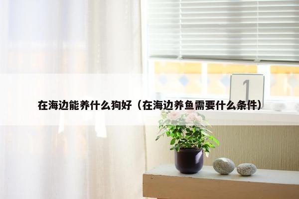 在海边能养什么狗好（在海边养鱼需要什么条件）