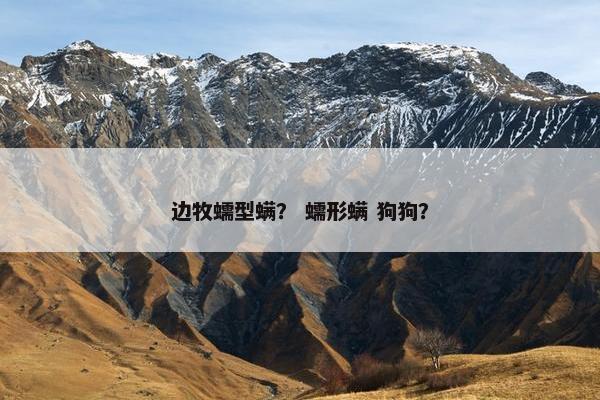 边牧蠕型螨？ 蠕形螨 狗狗？
