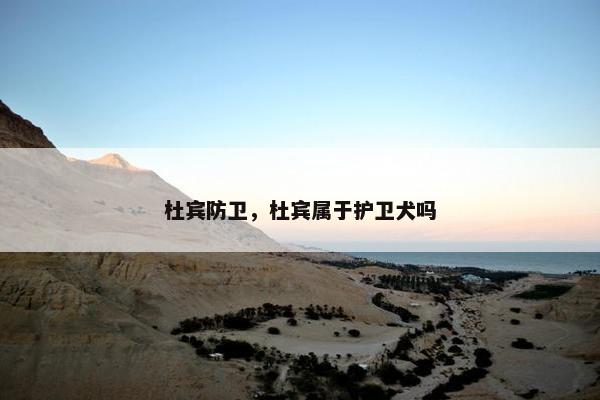 杜宾防卫，杜宾属于护卫犬吗