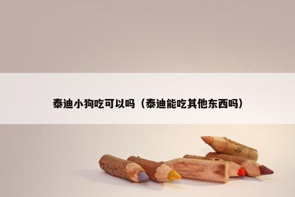 泰迪小狗吃可以吗（泰迪能吃其他东西吗）