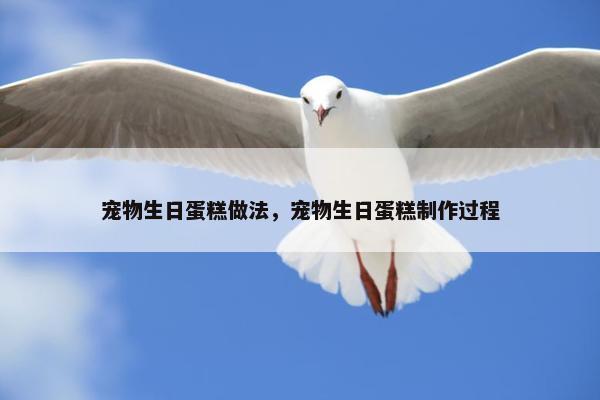 宠物生日蛋糕做法，宠物生日蛋糕制作过程