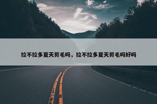 拉不拉多夏天剪毛吗，拉不拉多夏天剪毛吗好吗