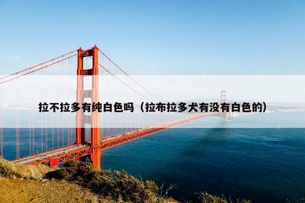 拉不拉多有纯白色吗（拉布拉多犬有没有白色的）