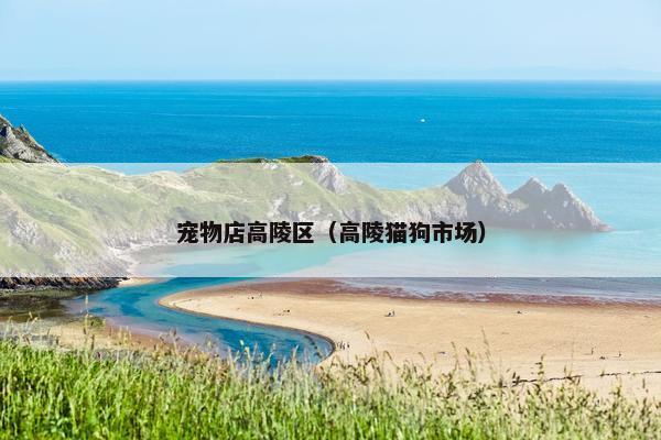 宠物店高陵区（高陵猫狗市场）