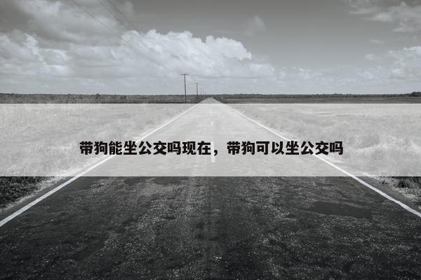 带狗能坐公交吗现在，带狗可以坐公交吗
