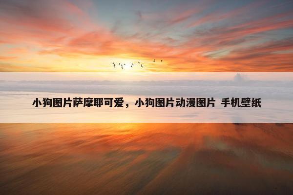 小狗图片萨摩耶可爱，小狗图片动漫图片 手机壁纸