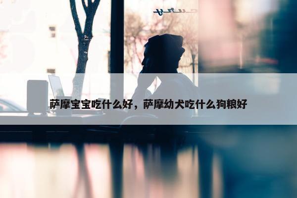 萨摩宝宝吃什么好，萨摩幼犬吃什么狗粮好