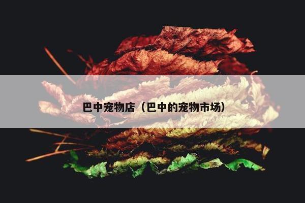 巴中宠物店（巴中的宠物市场）