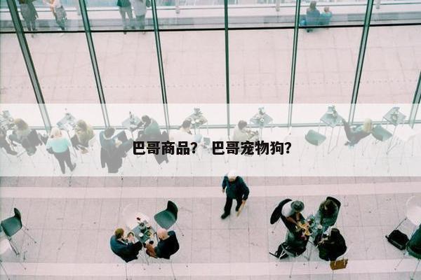 巴哥商品？ 巴哥宠物狗？