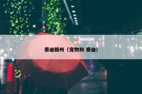 泰迪赣州（宠物狗 泰迪）