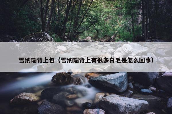 雪纳瑞背上包（雪纳瑞背上有很多白毛是怎么回事）
