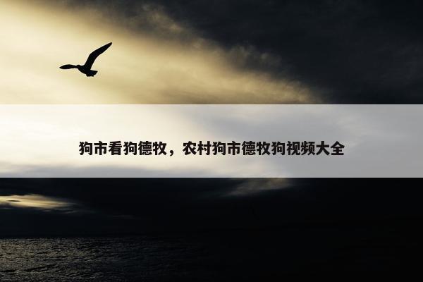 狗市看狗德牧，农村狗市德牧狗视频大全