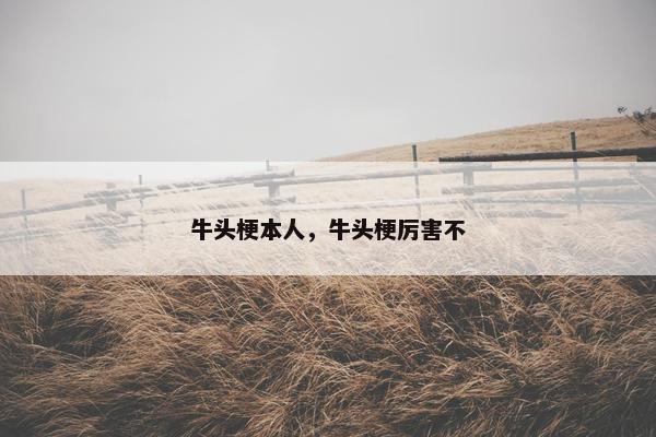 牛头梗本人，牛头梗厉害不