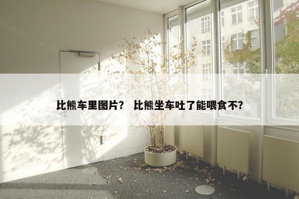 比熊车里图片？ 比熊坐车吐了能喂食不？