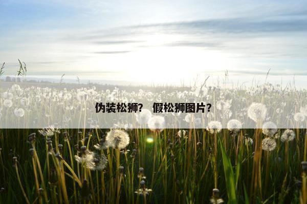 伪装松狮？ 假松狮图片？
