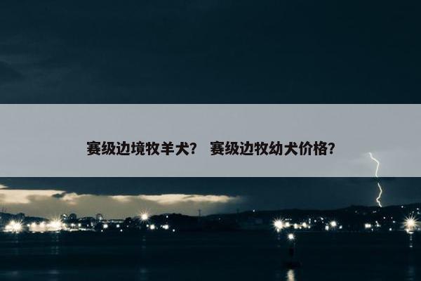 赛级边境牧羊犬？ 赛级边牧幼犬价格？