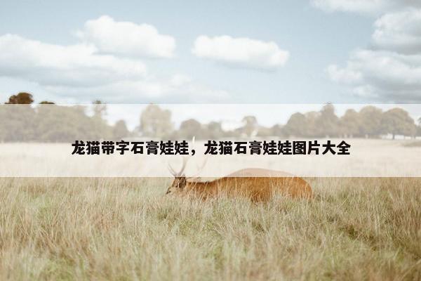龙猫带字石膏娃娃，龙猫石膏娃娃图片大全