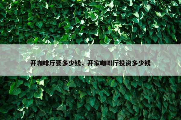 开咖啡厅要多少钱，开家咖啡厅投资多少钱