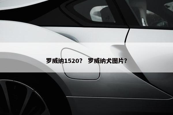 罗威纳1520？ 罗威纳犬图片？
