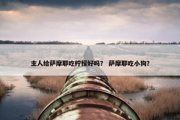 主人给萨摩耶吃柠檬好吗？ 萨摩耶吃小狗？