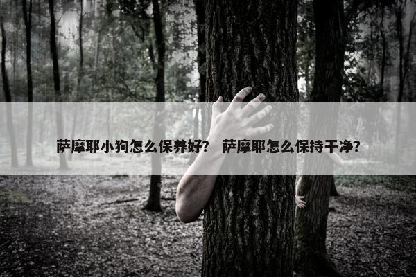 萨摩耶小狗怎么保养好？ 萨摩耶怎么保持干净？