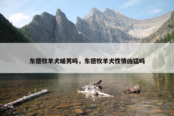 东德牧羊犬暖男吗，东德牧羊犬性情凶猛吗