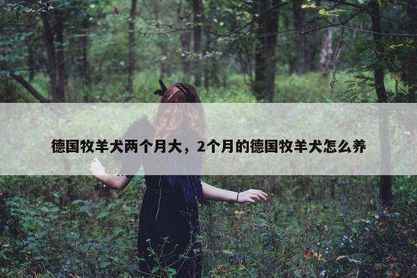 德国牧羊犬两个月大，2个月的德国牧羊犬怎么养