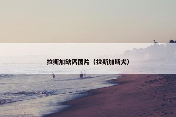 拉斯加缺钙图片（拉斯加斯犬）