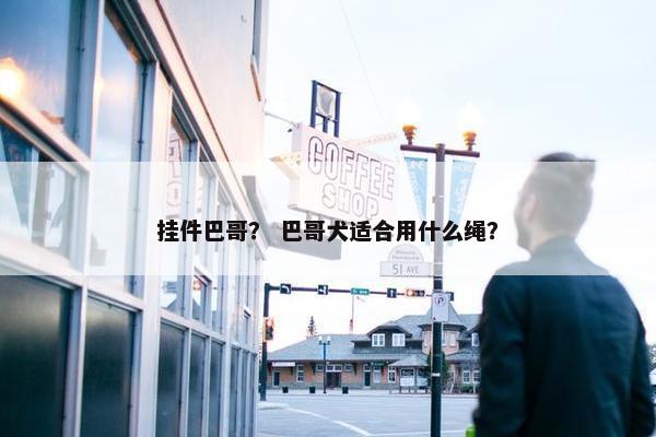 挂件巴哥？ 巴哥犬适合用什么绳？