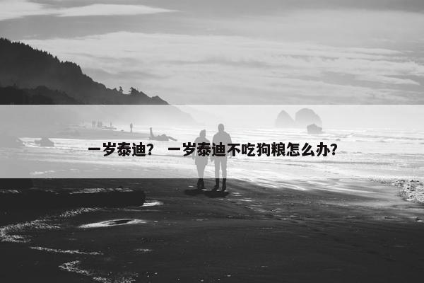 一岁泰迪？ 一岁泰迪不吃狗粮怎么办？