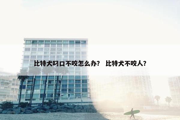 比特犬叼口不咬怎么办？ 比特犬不咬人？