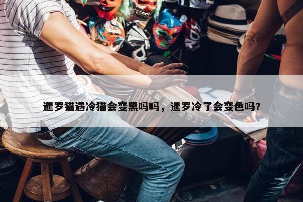 暹罗猫遇冷猫会变黑吗吗，暹罗冷了会变色吗?