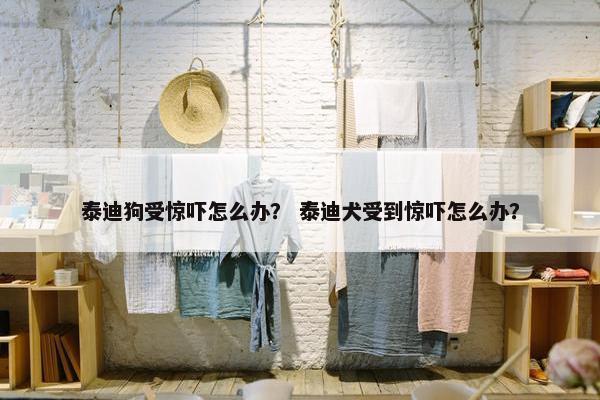 泰迪狗受惊吓怎么办？ 泰迪犬受到惊吓怎么办？