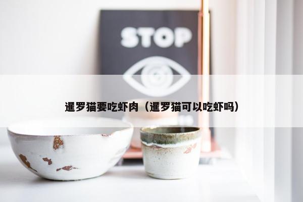暹罗猫要吃虾肉（暹罗猫可以吃虾吗）