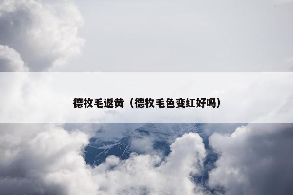 德牧毛返黄（德牧毛色变红好吗）